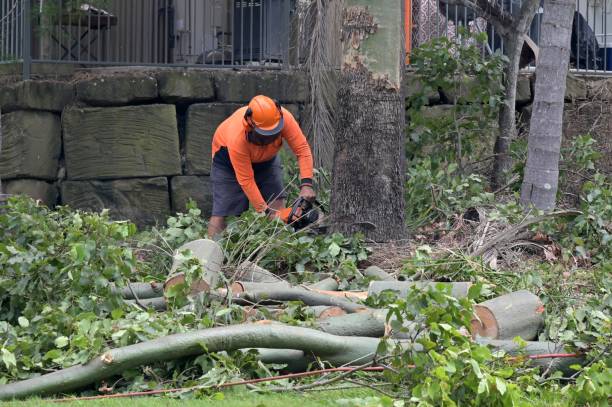 Reliable Gardner, MA  Tree Services Solutions